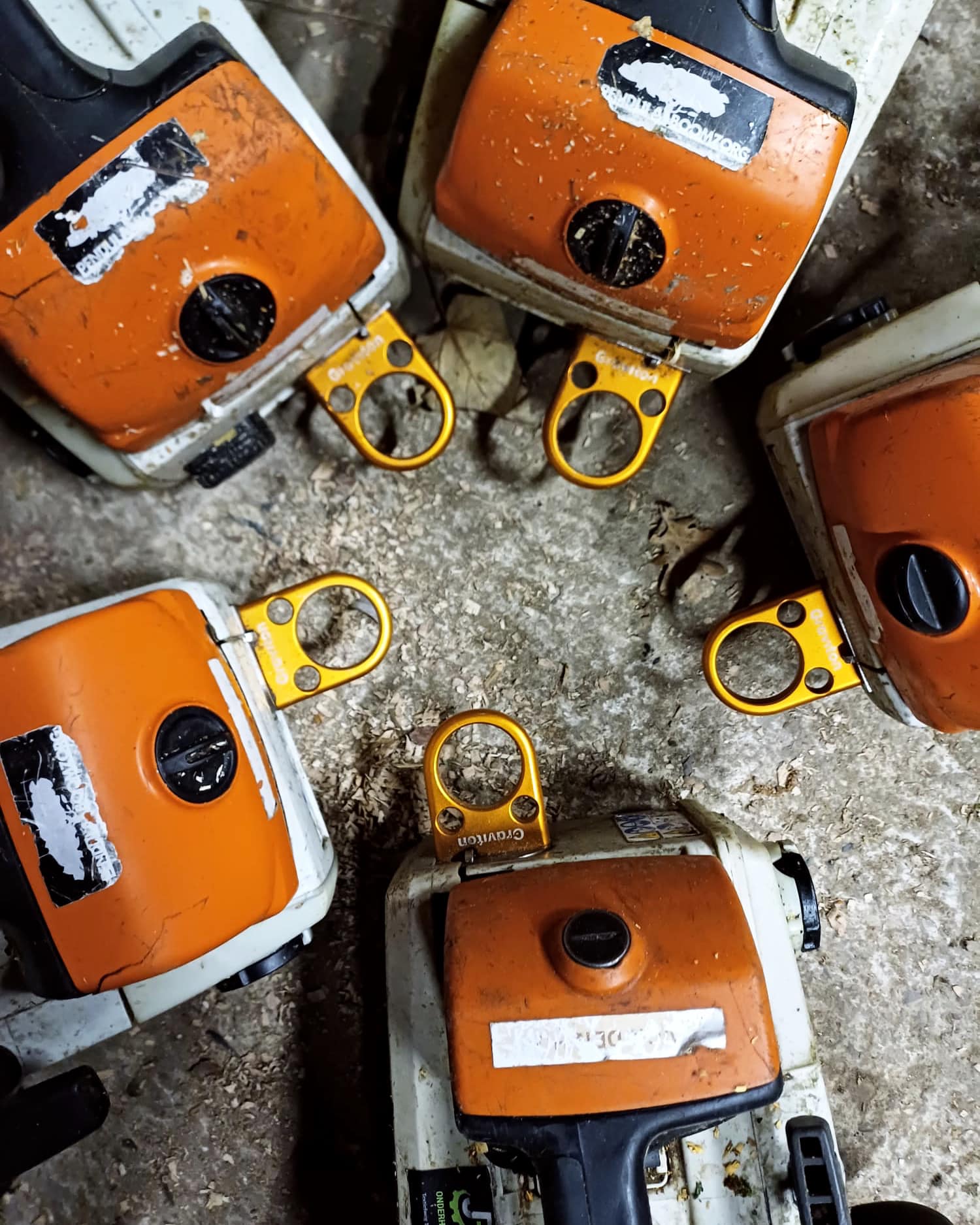 Motorsägenöse Graviton Cutan – Bild 3