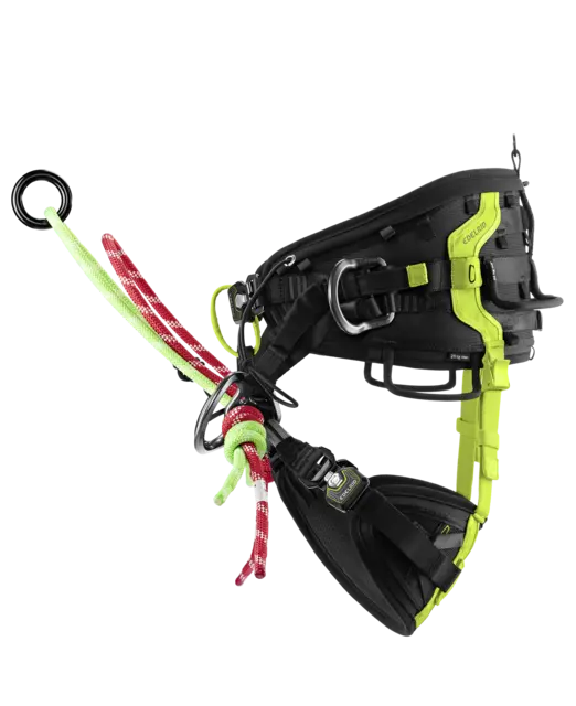 Edelrid Treerex II – Bild 3